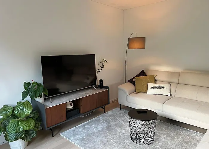 Apartment Luxury 2br, 2 Bath, Spacious Living With Open Kitchen, River View, Ideal For Long Stays, Parking, 10 Min To Center Zurich